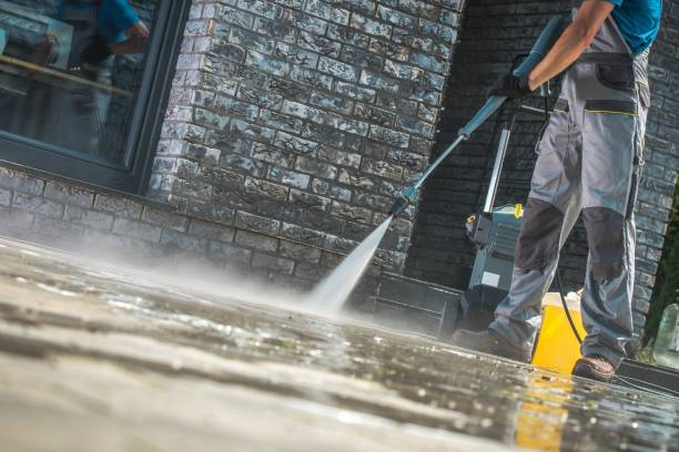 Animal Enclosure Cleaning in Leslie, MI