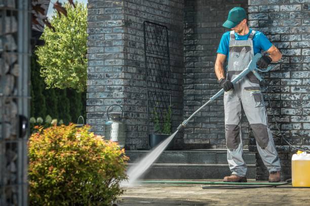 Best Fence Cleaning  in Leslie, MI