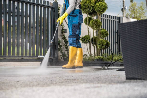 Best Animal Enclosure Cleaning  in Leslie, MI