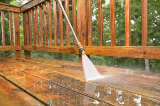 Best Winterizing Services  in Leslie, MI
